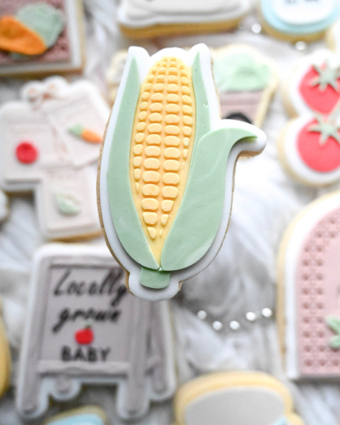 Corn debosser and cutter