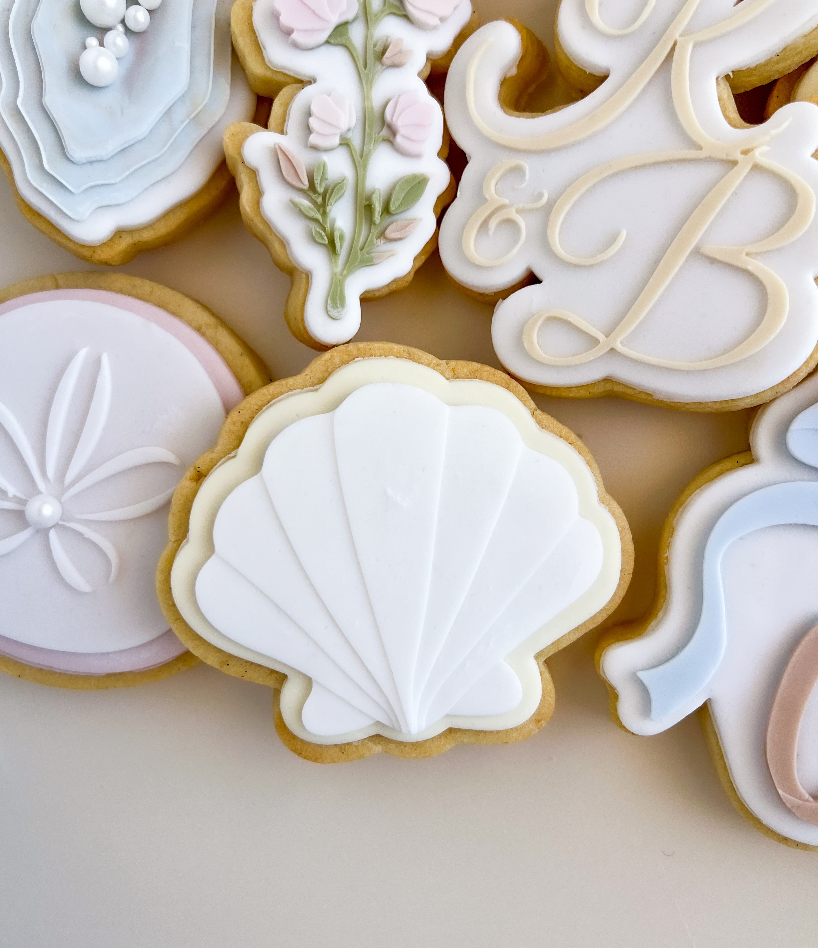 Scalloped shell V2 debosser and cutter