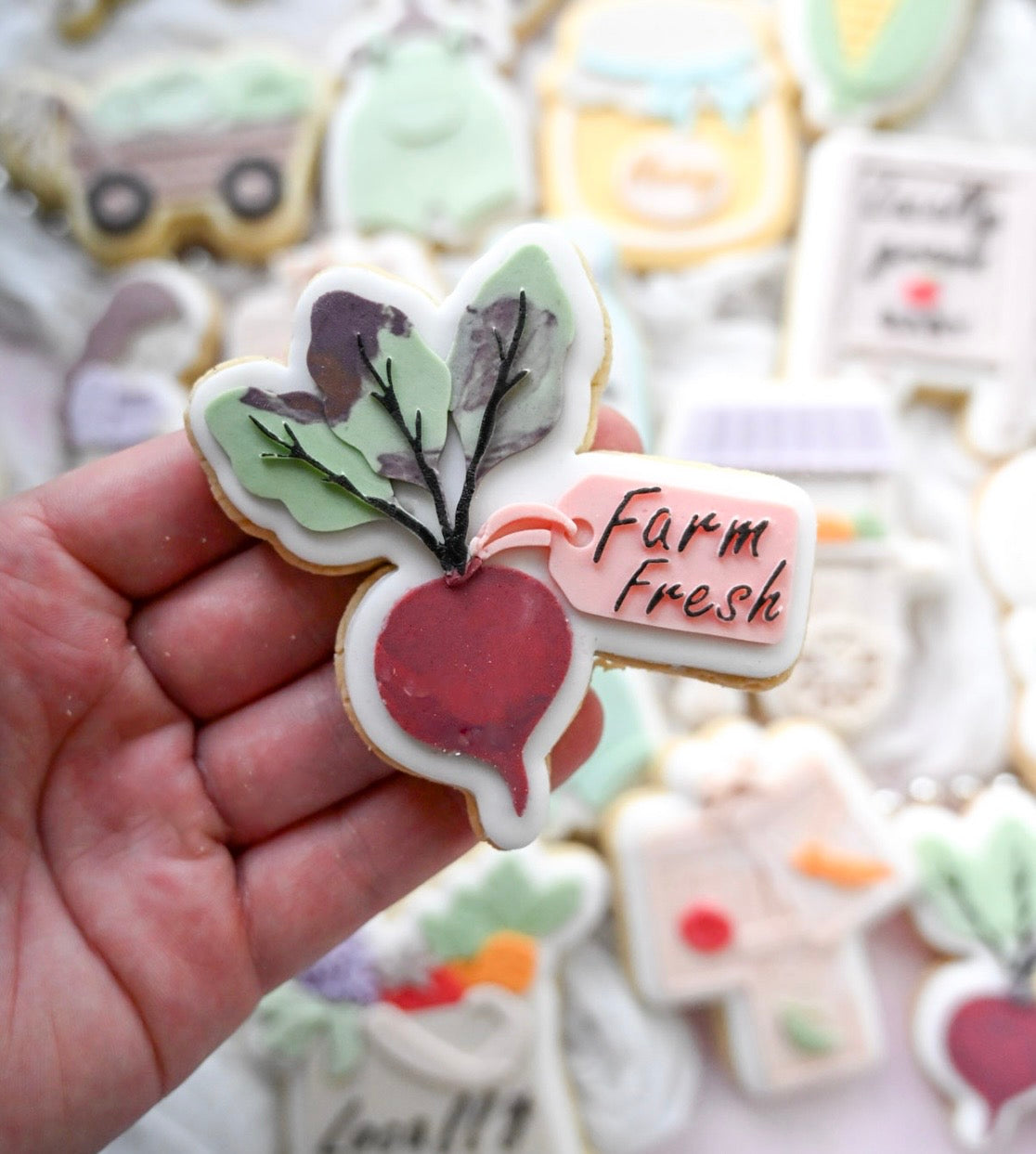 Radish with tag debosser and cutter