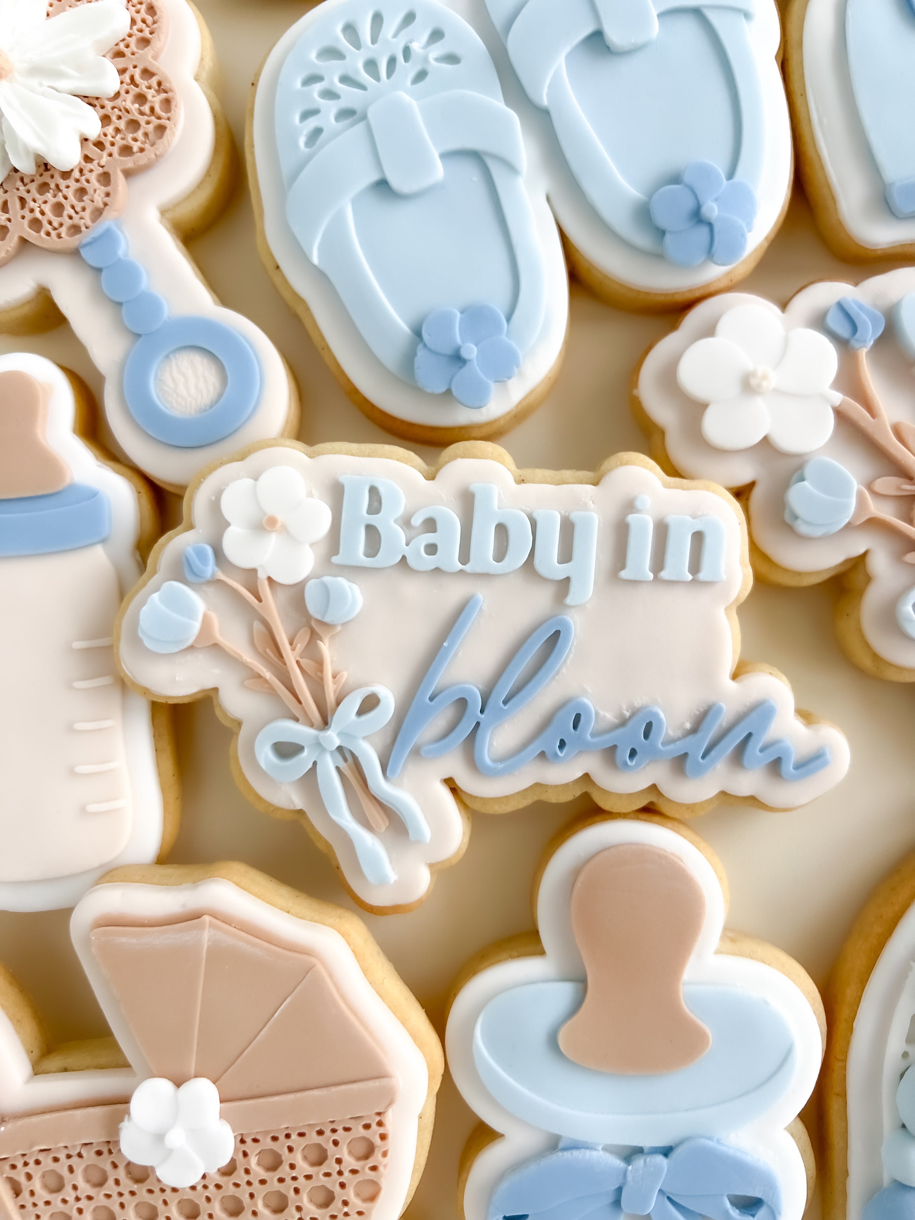 Baby in bloom V2 debosser and cutter