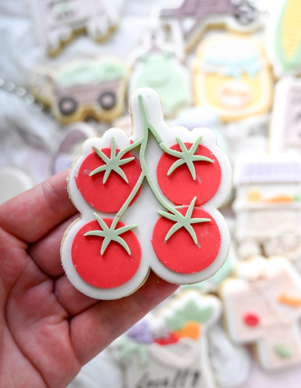 Tomatoes debosser and cutter